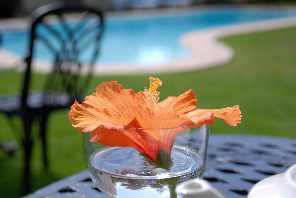 Mandalay Guest House Plettenberg Bay Dış mekan fotoğraf